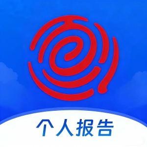 百行个人数据